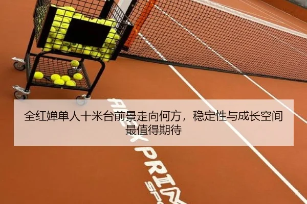 全红婵单人十米台前景走向何方，稳定性与成长空间最值得期待